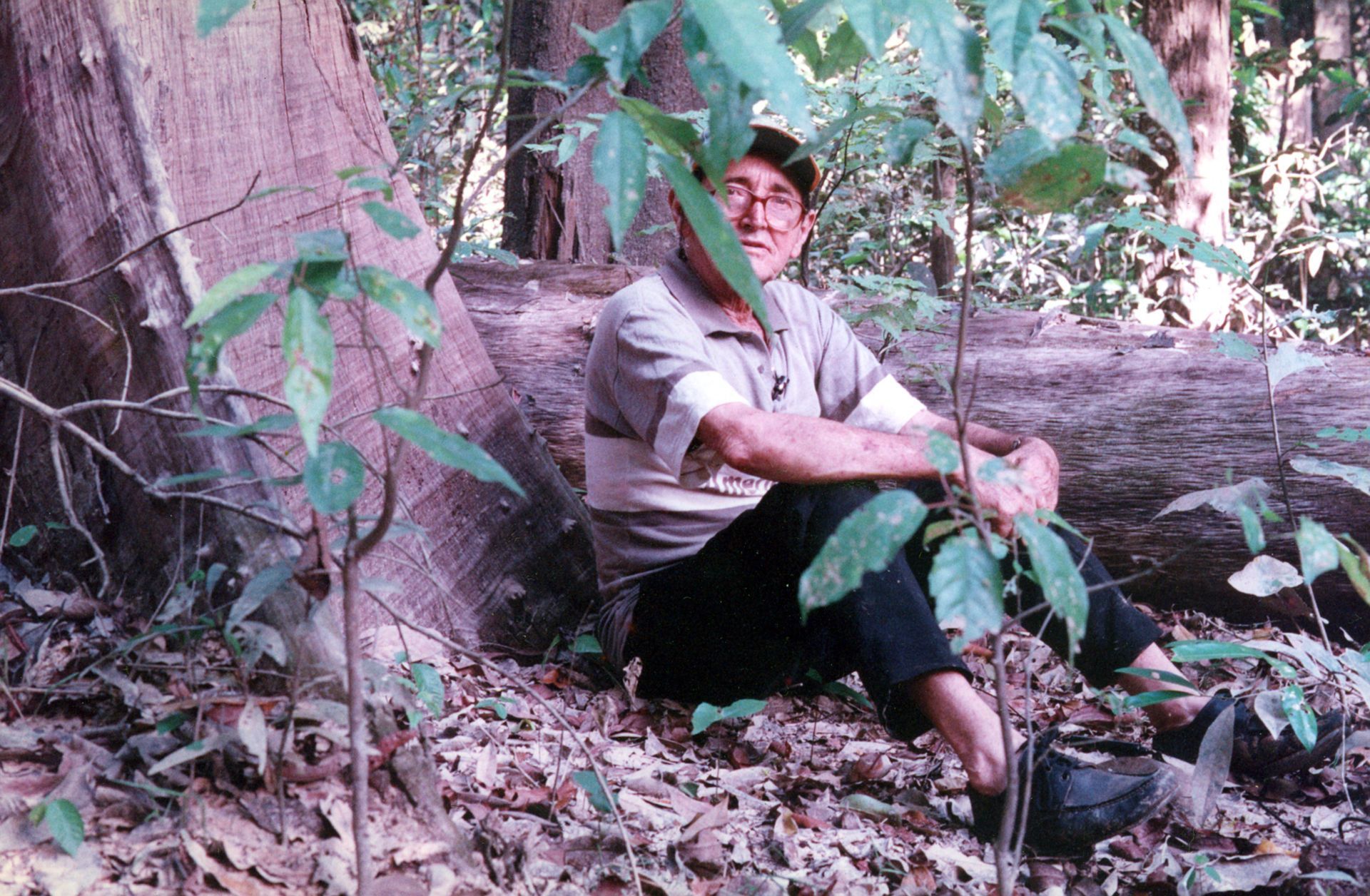 A vida pela floresta: Chico Mendes sob o olhar de um seringueiro Sem Terra